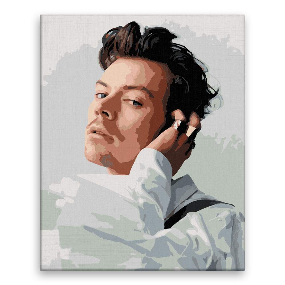 Malování podle čísel Harry Styles 02