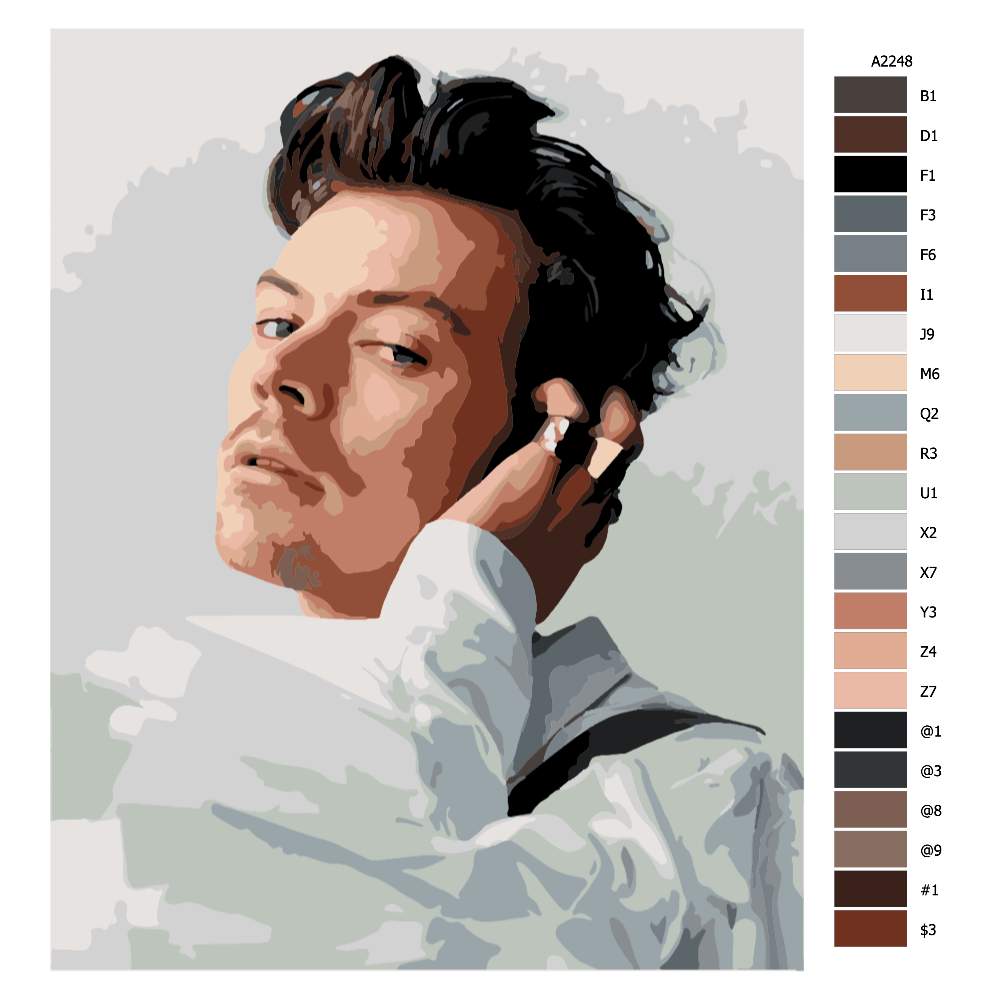 Návod pro malování podle čísel Harry Styles 02