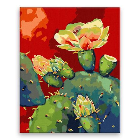 Maľovanie podľa čísel Kvetoucí kaktus