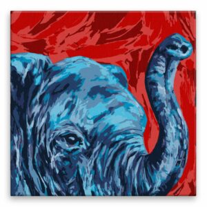 Maľovanie podľa čísel Modrá hlava slona
