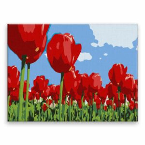 Maľovanie podľa čísel Rudé tulipány