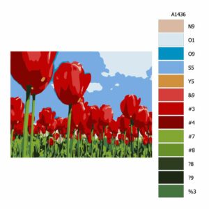 Pokyny na maľovanie podľa čísel Rudé tulipány