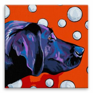 Maľovanie podľa čísel Labrador s bublinami