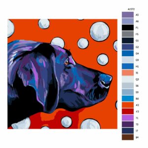 Pokyny na maľovanie podľa čísel Labrador s bublinami