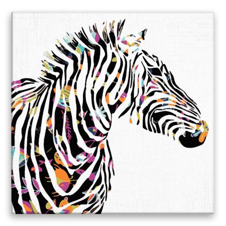 Maľovanie podľa čísel Zebra s květovanými pruhy
