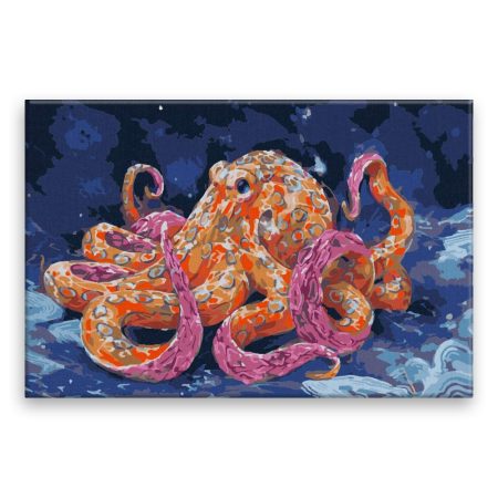 Maľovanie podľa čísel Kouzelná chobotnice