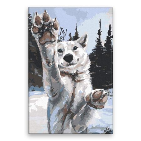 Maľovanie podľa čísel Tlapy vlka