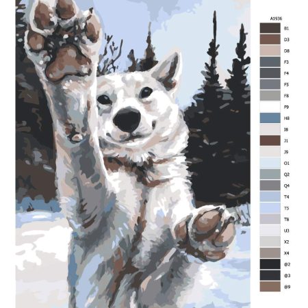 Pokyny na maľovanie podľa čísel Tlapy vlka