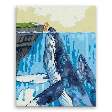 Maľovanie podľa čísel Přátelství s velrybou