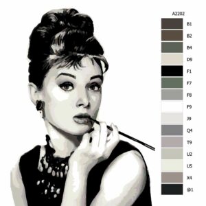 Pokyny na maľovanie podľa čísel Audrey Hepburn 01