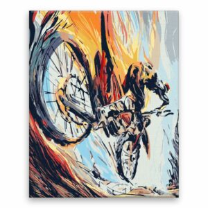 Maľovanie podľa čísel Cyklista