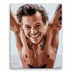 Maľovanie podľa čísel Harry Styles 01