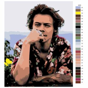 Pokyny na maľovanie podľa čísel Harry Styles 04
