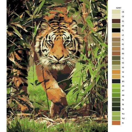 Pokyny na maľovanie podľa čísel Číhající tygr