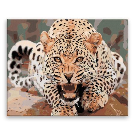 Maľovanie podľa čísel Rozzuřený leopard