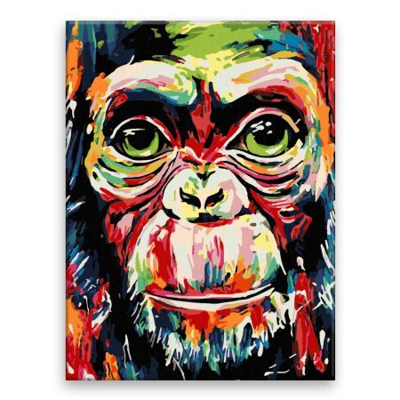 Maľovanie podľa čísel Barevná opice