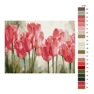 Návod pro malování podle čísel Růžové tulipány