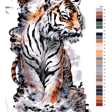 Návod pro malování podle čísel Tygr na břehu