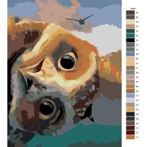 Návod pro malování podle čísel Nadšená sova