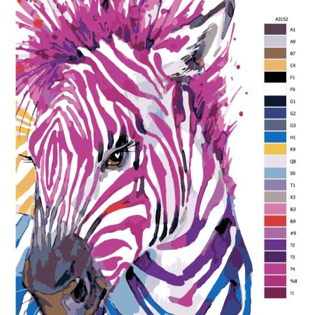 Návod pro malování podle čísel Barevná zebra