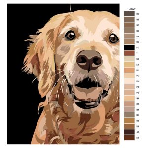 Návod pro malování podle čísel Pes Buddy