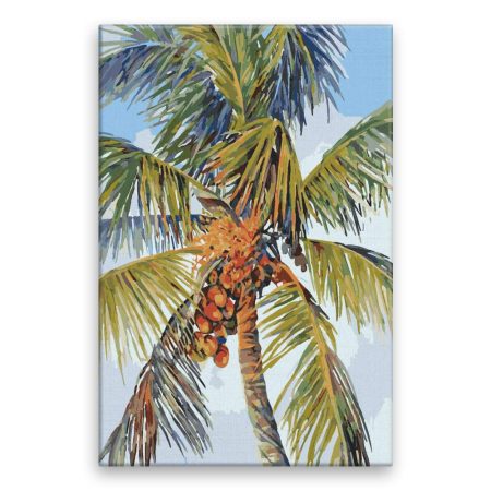 Malování podle čísel Palma s kokosy