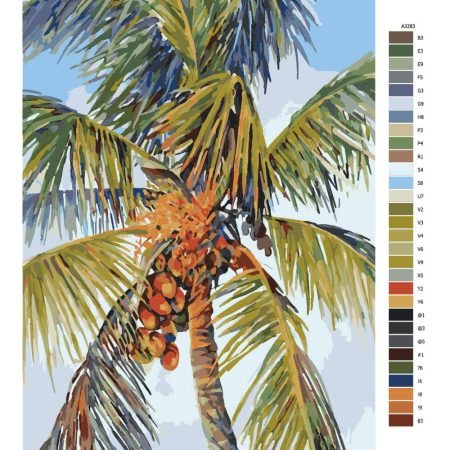 Návod pro malování podle čísel Palma s kokosy