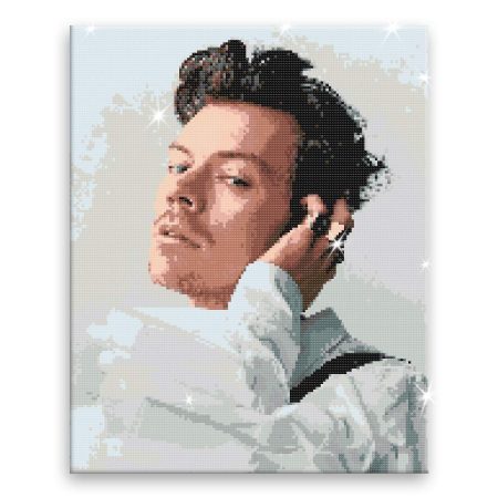Diamantové malování Harry Styles 02