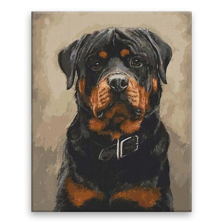 Fotoobraz na plátne Pes s obojkem