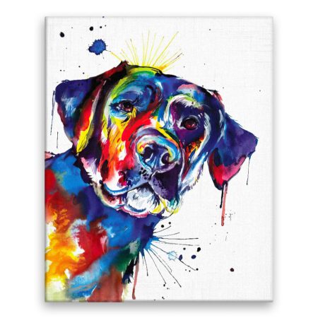 Fotoobraz na plátne Pestrobarevný labrador