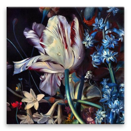 Fotoobraz na plátne Orosený tulipan