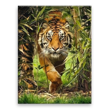 Fotoobraz na plátne Číhající tygr