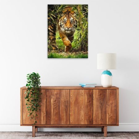 Obraz na plátne Číhající tygr