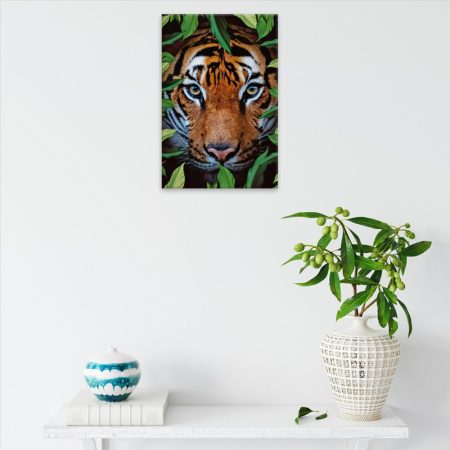 Obraz na plátne Tygr na lovu